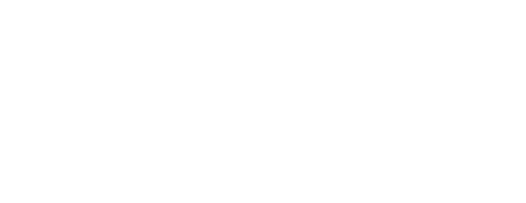 Sally Williamson logo